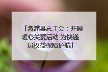 溆浦县总工会：开展暖心关爱活动 为快递员权益保障护航