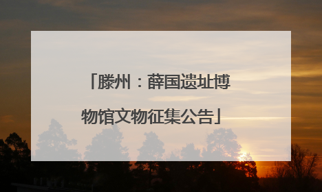 滕州：薛国遗址博物馆文物征集公告