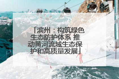 滨州：构筑绿色生态防护体系 推动黄河流域生态保护和高质量发展