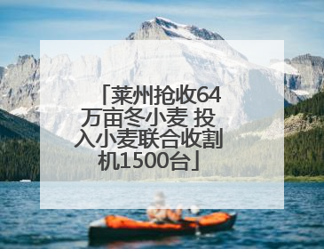 莱州抢收64万亩冬小麦 投入小麦联合收割机1500台