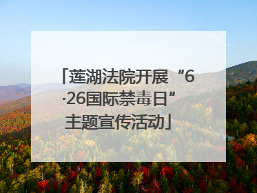 莲湖法院开展“6·26国际禁毒日”主题宣传活动