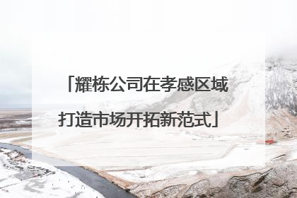耀栋公司在孝感区域打造市场开拓新范式