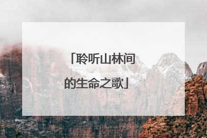 聆听山林间的生命之歌