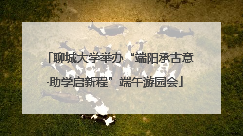 聊城大学举办“端阳承古意·助学启新程”端午游园会