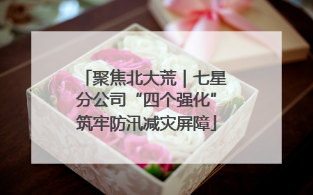 聚焦北大荒｜七星分公司“四个强化”筑牢防汛减灾屏障