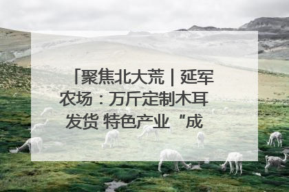 聚焦北大荒｜延军农场：万斤定制木耳发货 特色产业“成绩单”亮眼