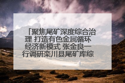 聚焦尾矿深度综合治理 打造有色金属循环经济新模式 张金良一行调研栾川县尾矿库综合治理工作
