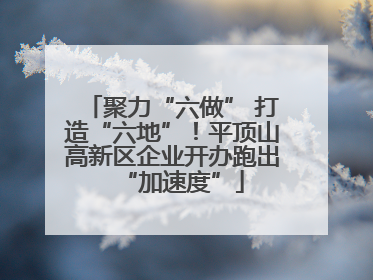 聚力“六做” 打造“六地”！平顶山高新区企业开办跑出“加速度”