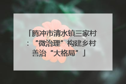 腾冲市清水镇三家村：“微治理”构建乡村善治“大格局”