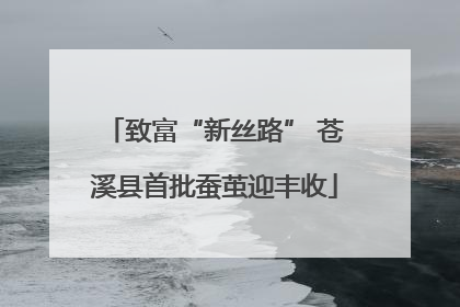 致富“新丝路” 苍溪县首批蚕茧迎丰收