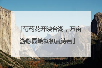 芍药花开映台湖，万亩游憩园绘就初夏诗画