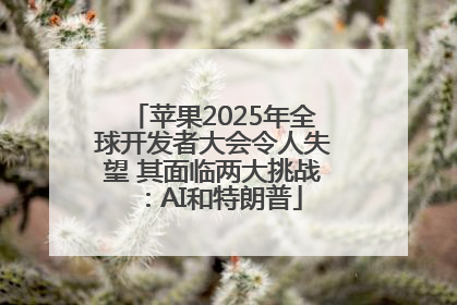 苹果2025年全球开发者大会令人失望 其面临两大挑战：AI和特朗普