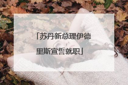 苏丹新总理伊德里斯宣誓就职