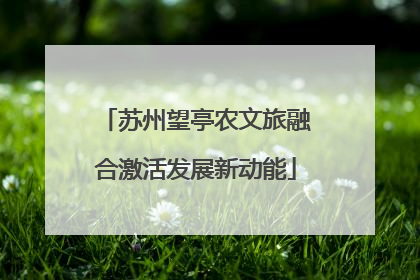 苏州望亭农文旅融合激活发展新动能