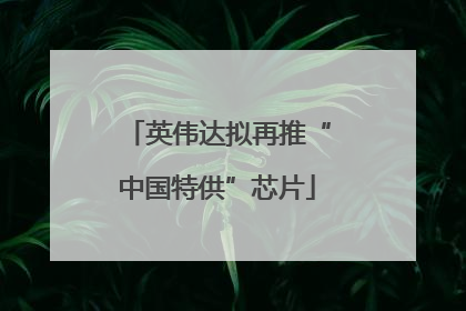 英伟达拟再推“中国特供”芯片