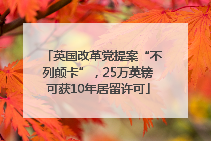 英国改革党提案“不列颠卡”，25万英镑可获10年居留许可