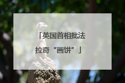 英国首相批法拉奇“画饼”