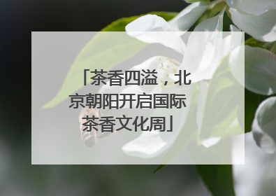 茶香四溢，北京朝阳开启国际茶香文化周