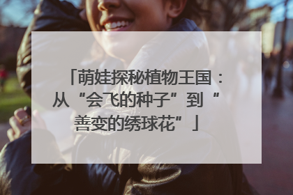 萌娃探秘植物王国：从“会飞的种子”到“善变的绣球花”