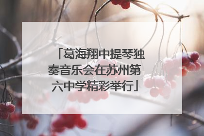 葛海翔中提琴独奏音乐会在苏州第六中学精彩举行