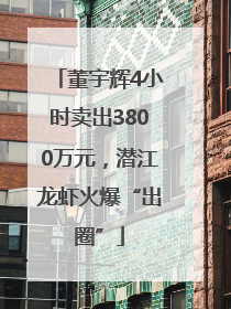 董宇辉4小时卖出3800万元，潜江龙虾火爆“出圈”
