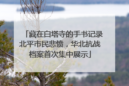 藏在白塔寺的手书记录北平市民悲愤，华北抗战档案首次集中展示