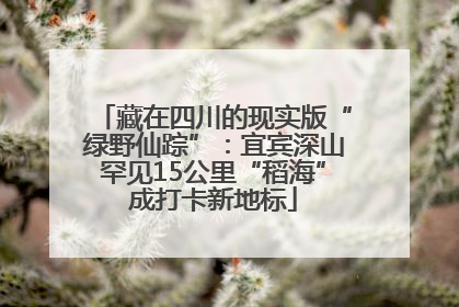 藏在四川的现实版“绿野仙踪”：宜宾深山罕见15公里“稻海”成打卡新地标
