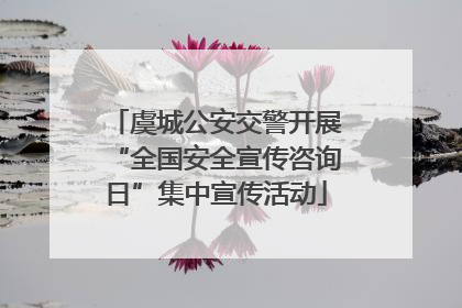 虞城公安交警开展“全国安全宣传咨询日”集中宣传活动