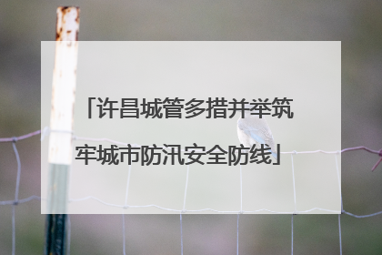 许昌城管多措并举筑牢城市防汛安全防线