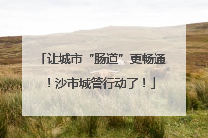 让城市“肠道”更畅通！沙市城管行动了！
