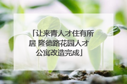 让来青人才住有所居 隆德路花园人才公寓改造完成
