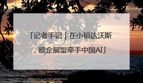 记者手记｜在小镇达沃斯，欧企展望牵手中国AI