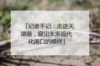 记者手记：走进天津港，窥见未来现代化港口的模样