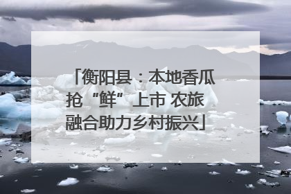 衡阳县：本地香瓜抢“鲜”上市 农旅融合助力乡村振兴