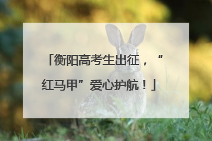 衡阳高考生出征，“红马甲”爱心护航！