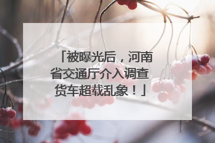 被曝光后，河南省交通厅介入调查货车超载乱象！