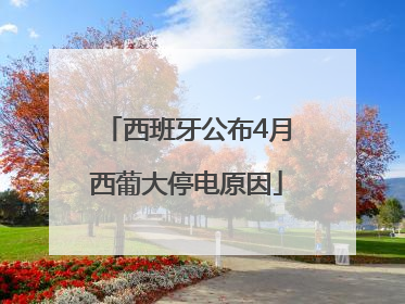西班牙公布4月西葡大停电原因