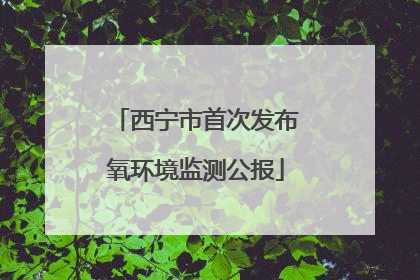 西宁市首次发布氧环境监测公报