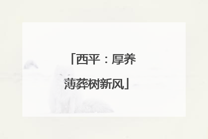 西平：厚养薄葬树新风