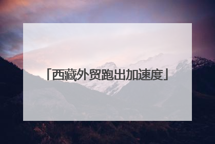 西藏外贸跑出加速度