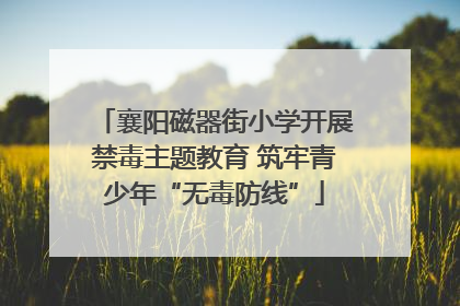 襄阳磁器街小学开展禁毒主题教育 筑牢青少年“无毒防线”