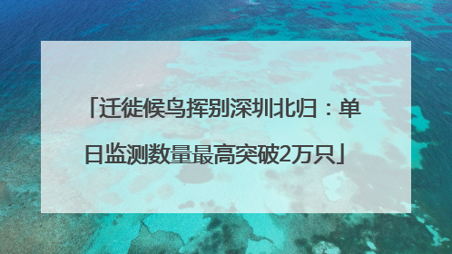 迁徙候鸟挥别深圳北归：单日监测数量最高突破2万只