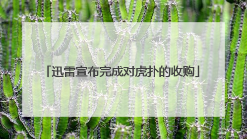 迅雷宣布完成对虎扑的收购