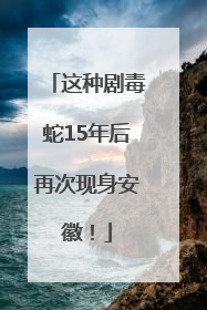 这种剧毒蛇15年后再次现身安徽！