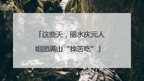 这些天，丽水庆元人组团满山“找苦吃”