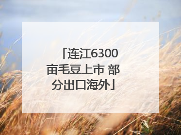 连江6300亩毛豆上市 部分出口海外