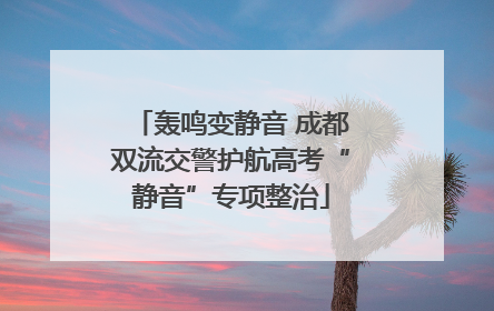 轰鸣变静音 成都双流交警护航高考“静音”专项整治