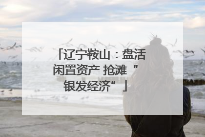 辽宁鞍山：盘活闲置资产 抢滩“银发经济”