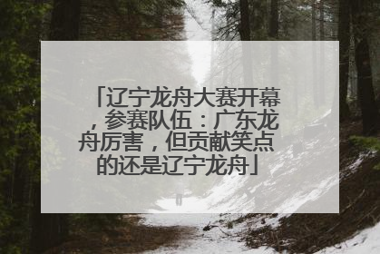 辽宁龙舟大赛开幕，参赛队伍：广东龙舟厉害，但贡献笑点的还是辽宁龙舟