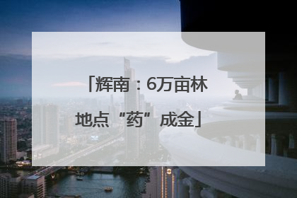 辉南：6万亩林地点“药”成金